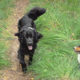 Shadow en Faith