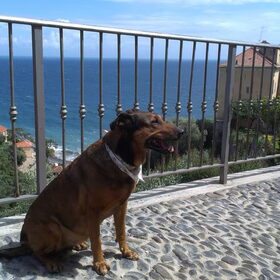 Vakantie Italië Mei 2013