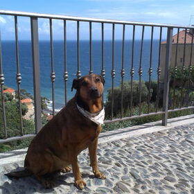 Vakantie Italië : Mei 2013