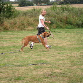 lekker rennen met de hond