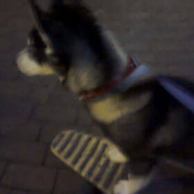 Longboardeeen