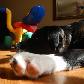 Talk to the.... foot!