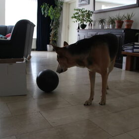 he een bal!!