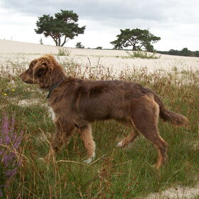 5 maanden oud