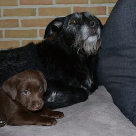 Kleine Oonah & Dimi toen ze hier pas was.