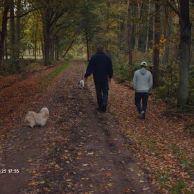 Turbo en Luna lopen vast vooruit samen met mijn man en zoon.