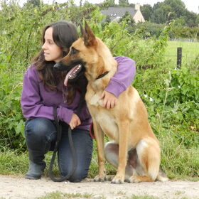 Hondenfoto van Melissa, Dempsey, Taiko, Minos & *Nina*