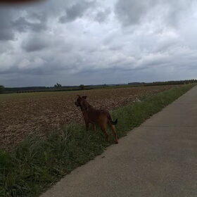 10 sept 2013. 't Leek wel volop herfst en we zijn even later ook…