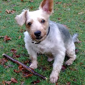 Max in het bos
