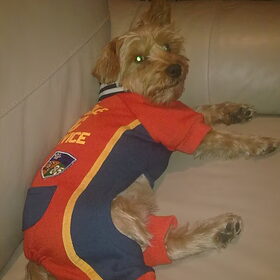 Max in zijn trainingspak