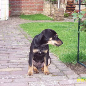 Sam