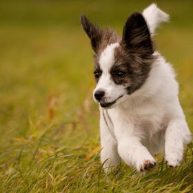 Lola! :)