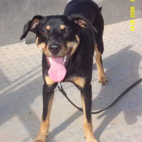 Sam