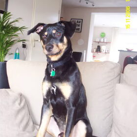 Sam