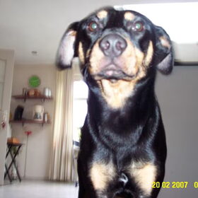 Sam