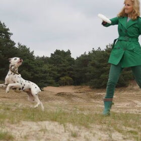 Interactie tussen hond en baasje