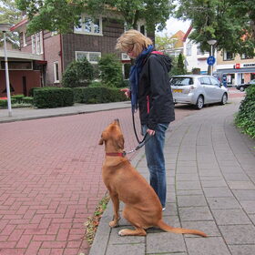 Met zijn grootste fan (oma ;))