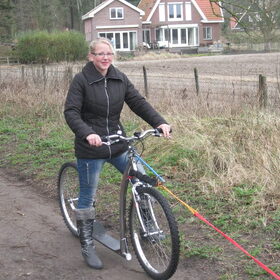 zena trainen
