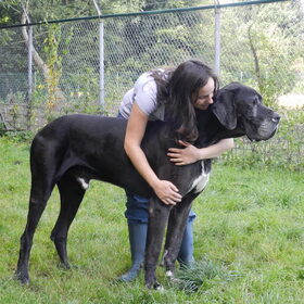 Met super lieve Hutch