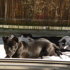 Lekker zonnen op balkon
