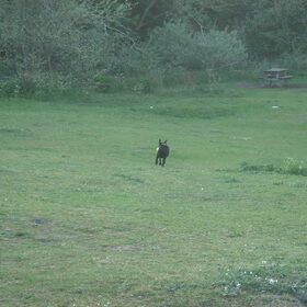 In de duinen
