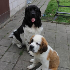 onze kleine xana, nog net geen 4 maand oud