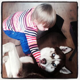 De kinderen kunnen en mogen alles met Juno! Hij is echt een…