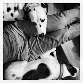 Gesandwiched :) moet geluk brengen... (tijdelijk aan het…