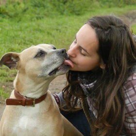 Hondenfoto van Melissa, Dempsey, Taiko, Minos & *Nina*