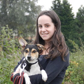 Hondenfoto van Melissa, Dempsey, Taiko, Minos & *Nina*