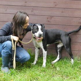 Hondenfoto van Melissa, Dempsey, Taiko, Minos & *Nina*