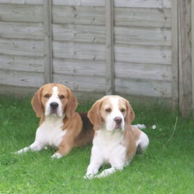 Samen poseren.