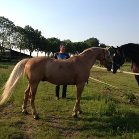 mijn knappe vent!!