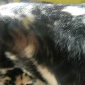 Wat is dit?