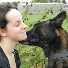 Hondenfoto van Melissa, Dempsey, Taiko, Minos & *Nina*