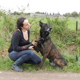 Hondenfoto van Melissa, Dempsey, Taiko, Minos & *Nina*