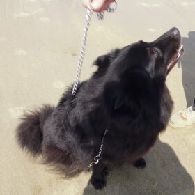 Kyra in het zand, dagje Vosseslag :)