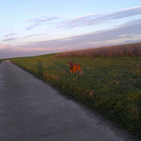 Stormachtig, maar toch een mooie Zonsondergang 28 okt 2013