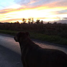 Stormachtig, maar toch een mooie zonsondergang 28 okt 2013