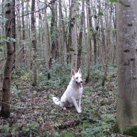 Mike in het park