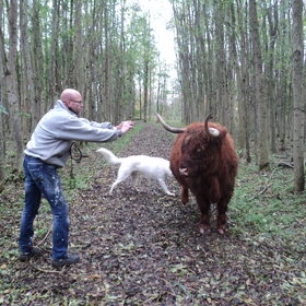 Foto van de koe maken