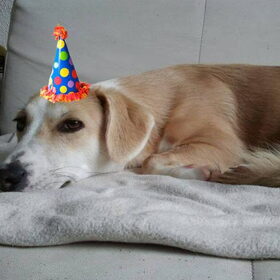 02/11/'13 Nova 1 jaar!