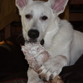 nomnomnommmnommmm!