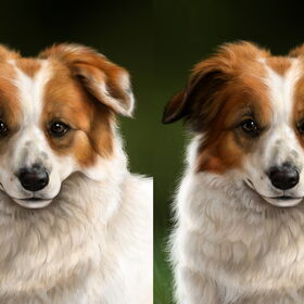 Twee versies van Olly's gezicht.
