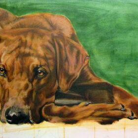 Mijn HEERLIJKE VENT!!!...'work in progress'....letterlijk en…