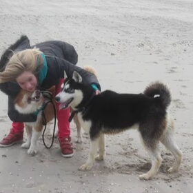 Hondenfoto van Tamara 