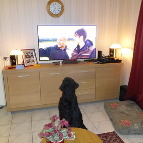 even tv kijken of de speeltuin nog open is