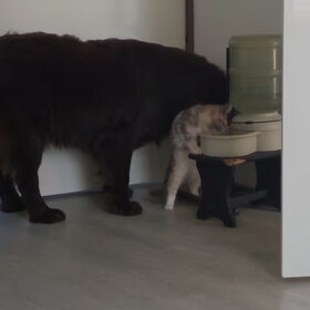 Samen met onze Noor Ziva