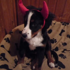 Halloween duiveltje