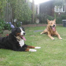 Doran met een van zijn vriendinnetjes, Senna.